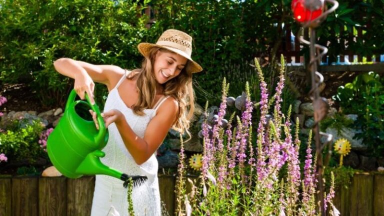 benefícios da jardinagem