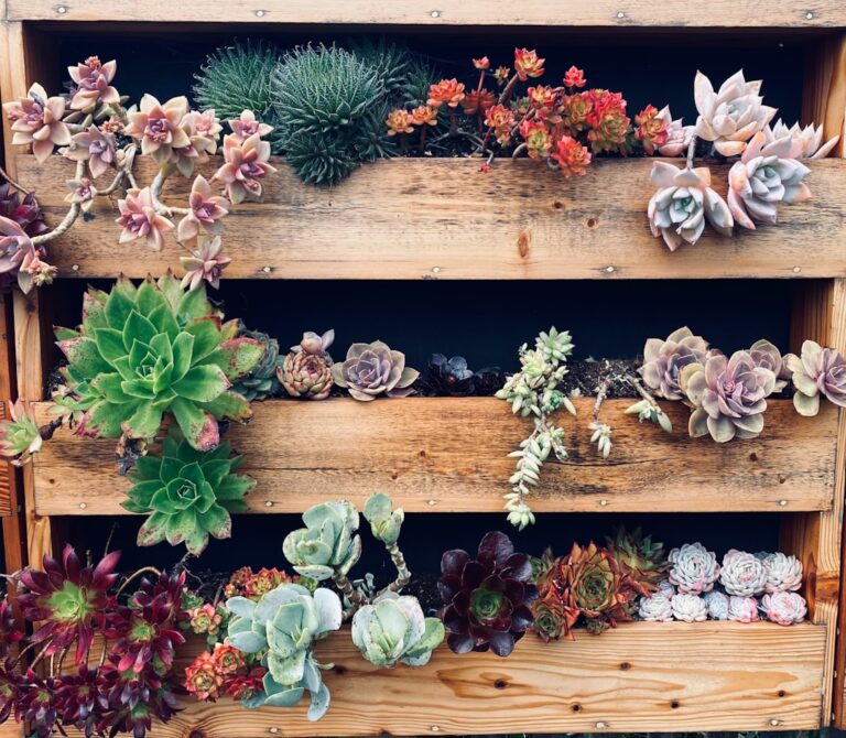 Como decorar um jardim pequeno sem encolher o espaço
