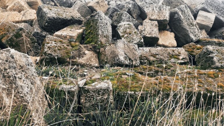 Beleza Imperfeita e Orgânica: Guia do Paisagismo Naturalista