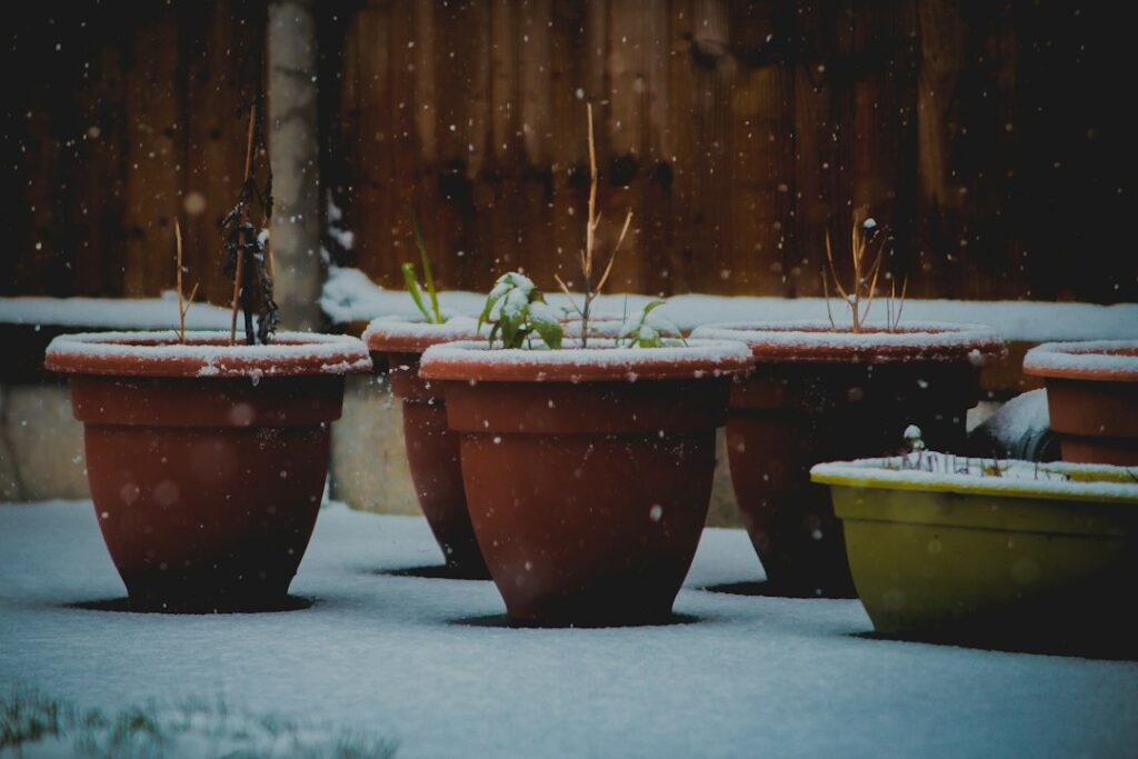 Vasos de plantas protegidos em jardim durante chuva forte na primavera, mostrando técnicas de drenagem e abrigo.