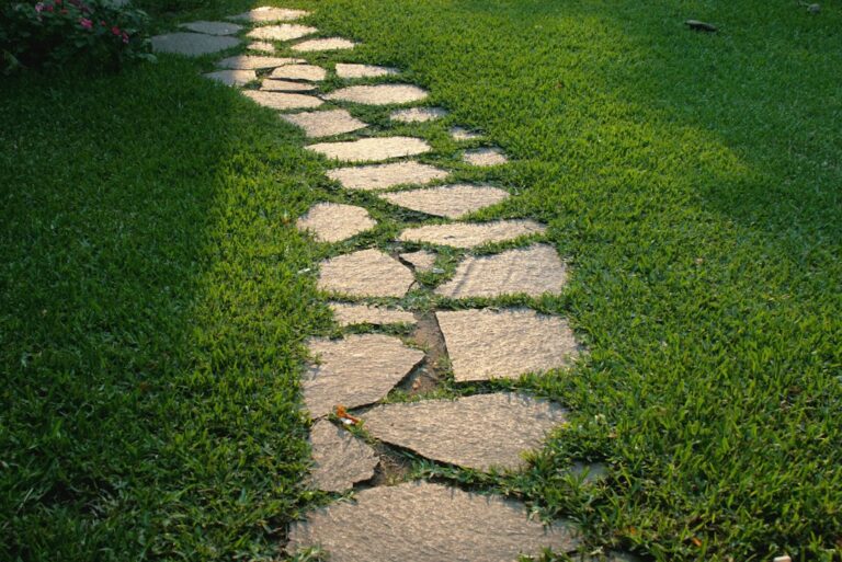 Caminho de pedras naturais em jardim, ilustrando uso de quartzito e ardósia para decoração e delimitação de espaços verdes.